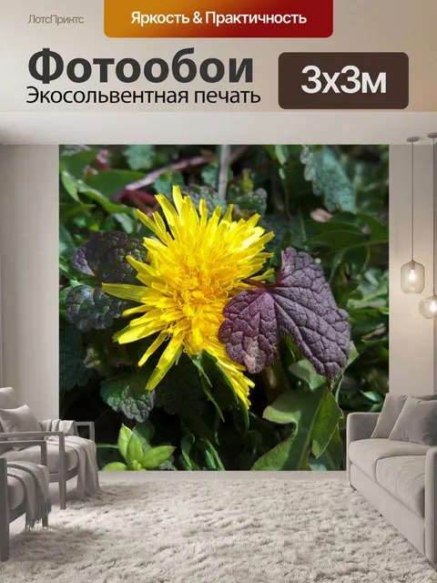 Фотообои Природа