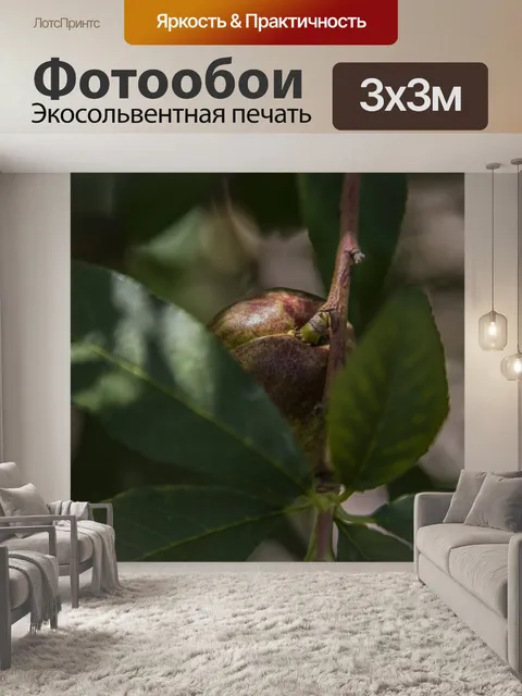 Фотообои Фруктовые деревья Макрофотография фон 2