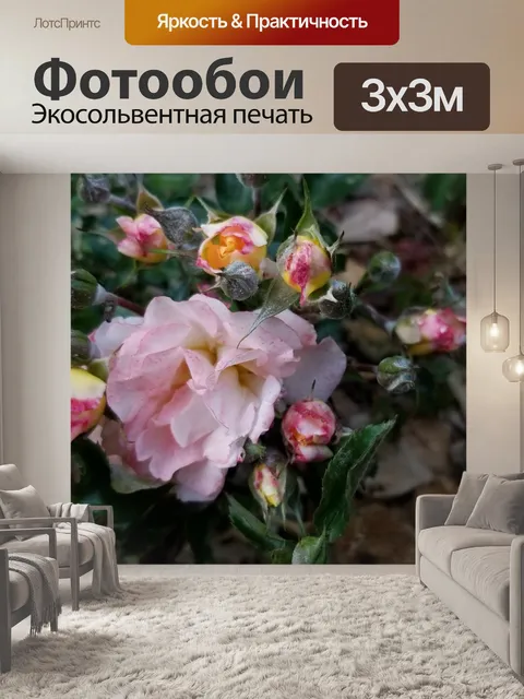 Фотообои Розы в цвету