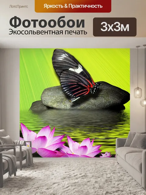 Фотообои Бабочка на камне