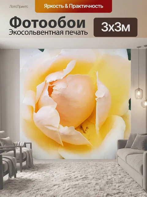 Фотообои Белый и желтый градиент розы