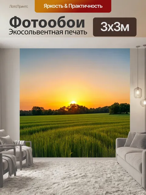 Фотообои летний закат над полями и деревьями
