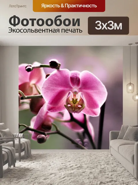 Фотообои Орхидея