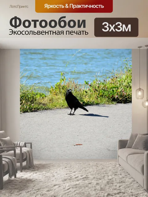Фотообои Птицы