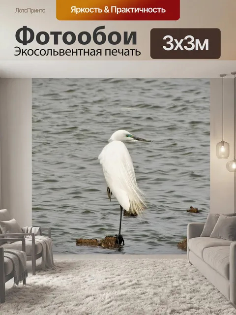 Фотообои Животное