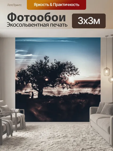 Фотообои Заход солнца
