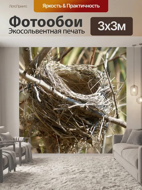 Фотообои Гнездо