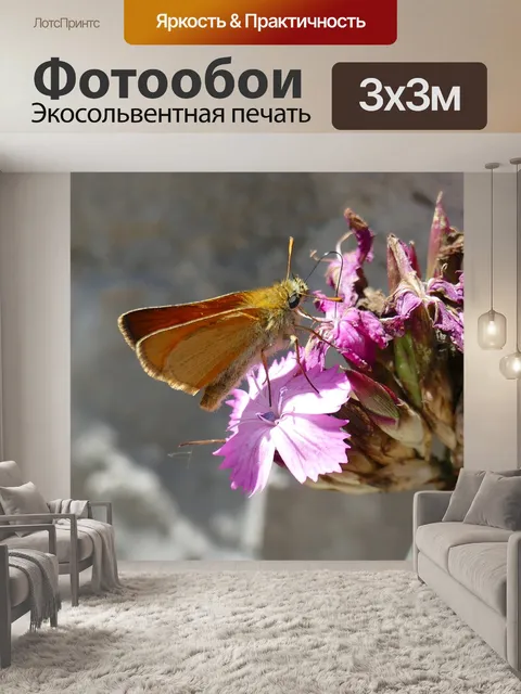 Фотообои Бабочка