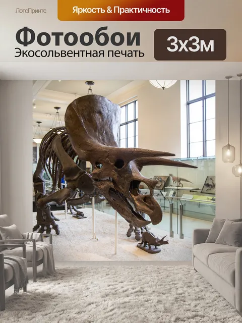 Фотообои Американский музей естественной истории