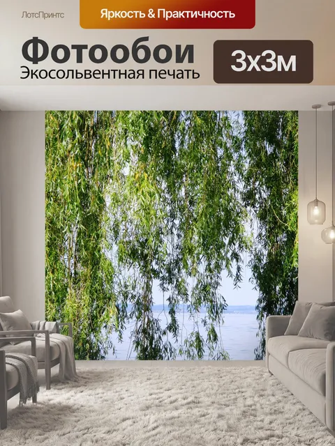 Фотообои Плакучая ива