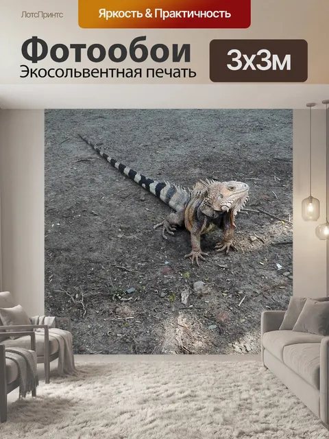 Фотообои Животные