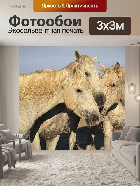Фотообои Лошадь