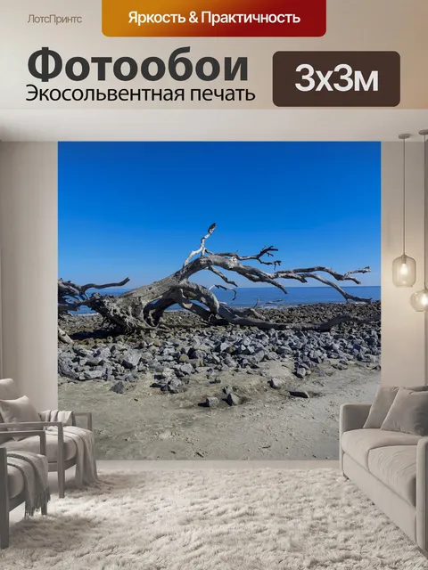 Фотообои Коряги Бич