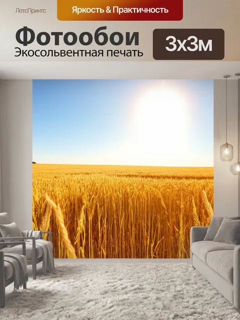 Фотообои золотые поля под ярким солнцем