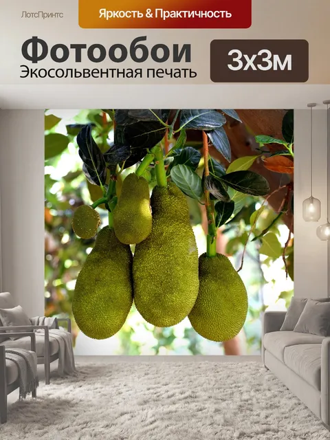 Фотообои Фрукты