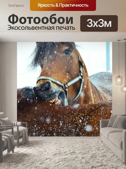 Фотообои Лошади