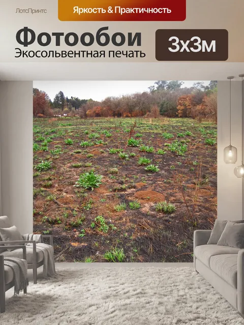 Фотообои Яркие новые побеги зеленой травы