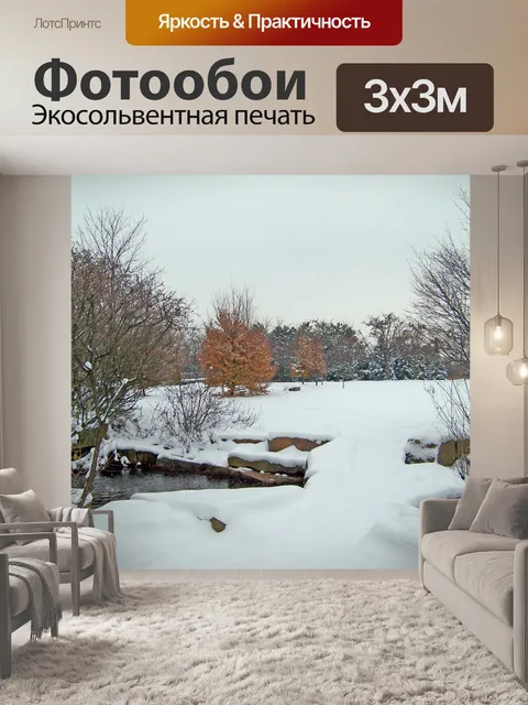Фотообои Снежный день