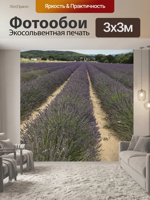 Фотообои Лаванда