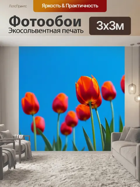 Фотообои тюльпаны с небесно-голубым небом