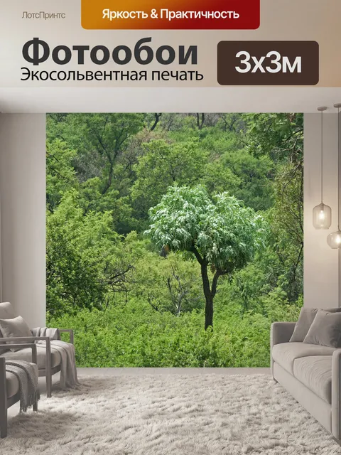 Фотообои капустное дерево, растущее на поляне