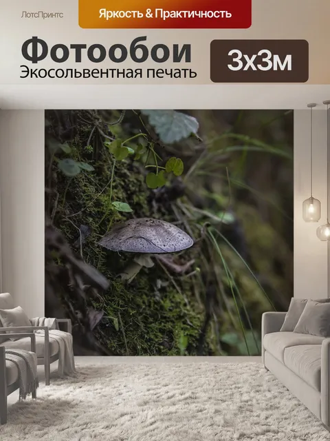 Фотообои Гриб