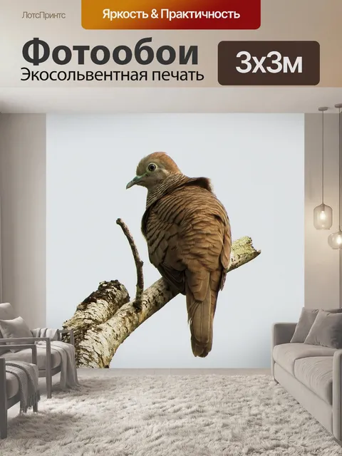 Фотообои Птица