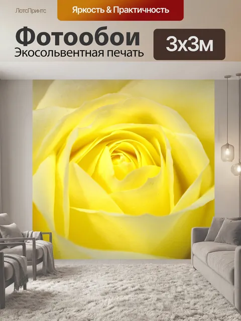 Фотообои Роза - фон