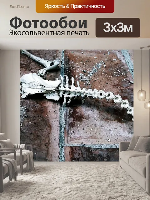 Фотообои Ископаемое