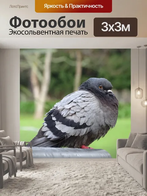 Фотообои Птицы