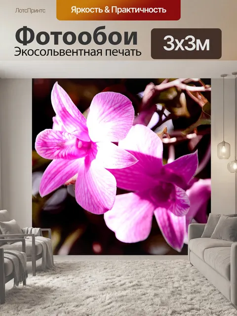 Фотообои Цветок