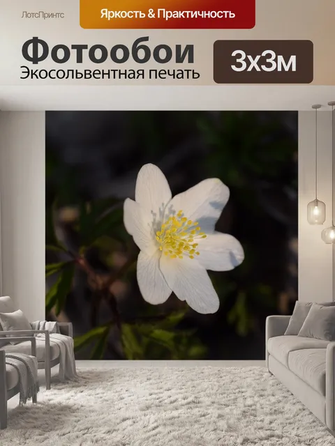 Фотообои Древесные анемоны