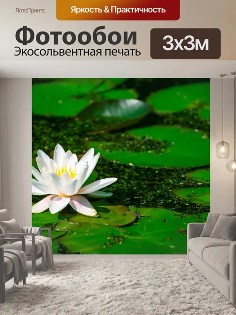 Фотообои Водяная лилия