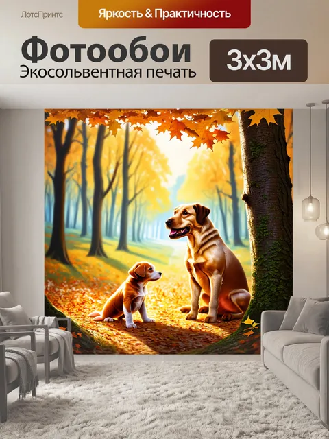 Фотообои в тихом осеннем лесу