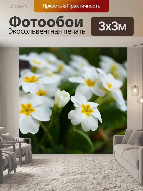 Фотообои Цветы
