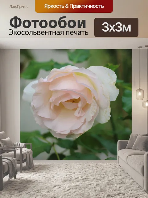 Фотообои Цветы