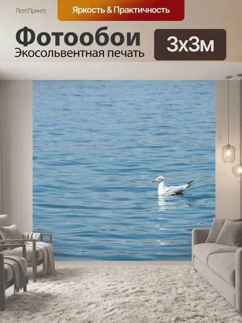 Фотообои Чайка