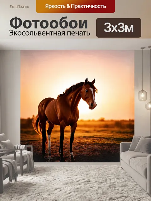 Фотообои аравийская лошадь гордо стоит на фоне живописного заката, её густая грива нежно колышется на ветру