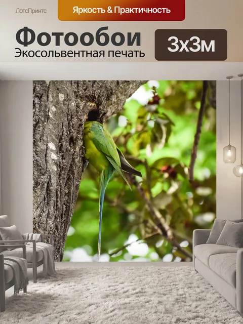 Фотообои Попугай