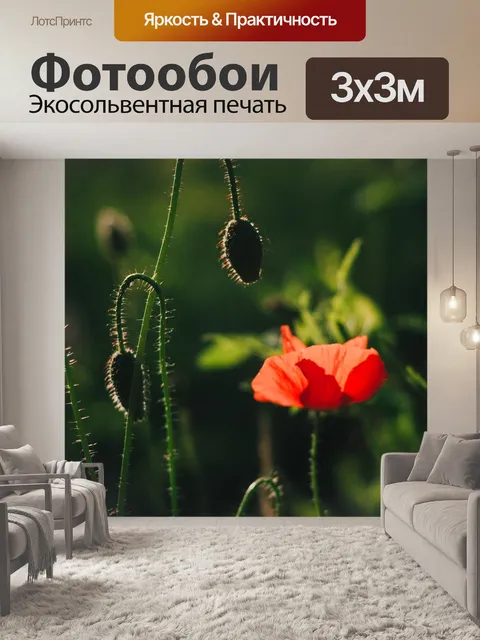 Фотообои Цветок