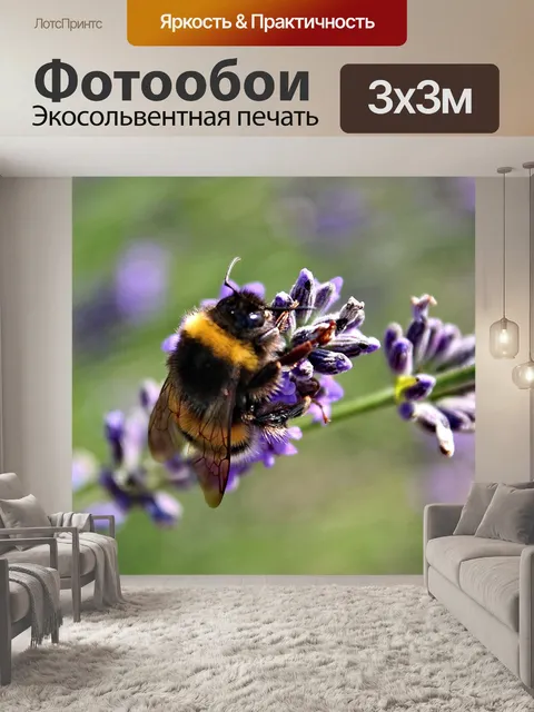 Фотообои Природа