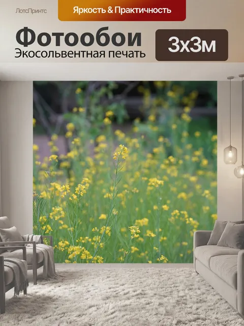 Фотообои Цветы