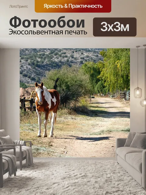 Фотообои Лошадь
