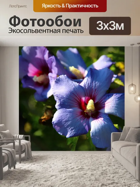 Фотообои Расцветает
