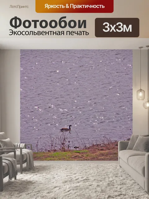 Фотообои Гусь в реку