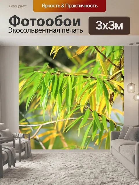 Фотообои Осенние листья