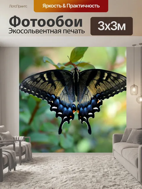 Фотообои Swallowtail Butterfly