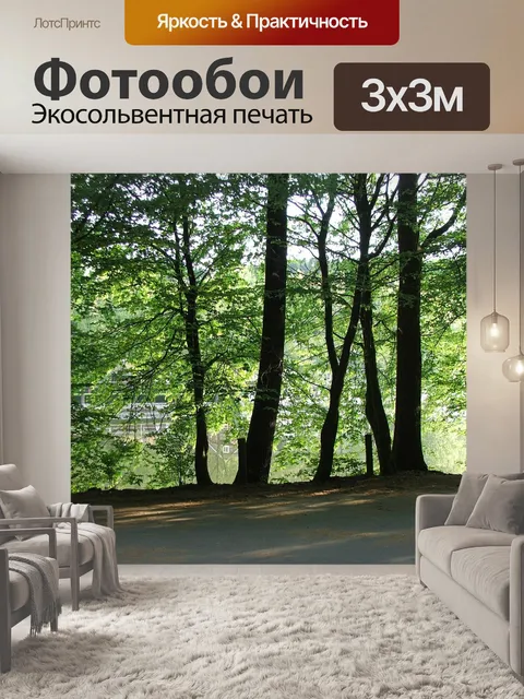 Фотообои Лес