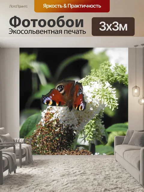 Фотообои Бабочка