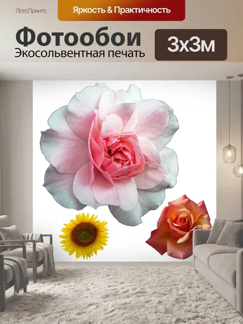 Фотообои Изолированные цветок Клипарт